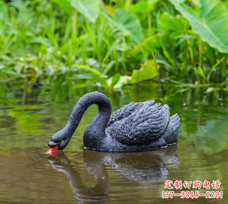 唐山黑天鹅喝水款-池塘水塘装饰动物雕塑摆件